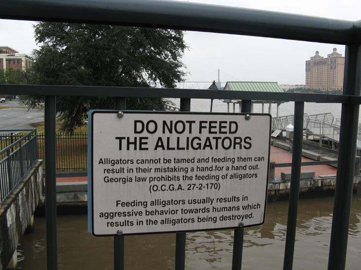 Alligator Warning, Savannah Marriott Riverfront, 100 General McIntosh Boulevard, Savannah, Georgia