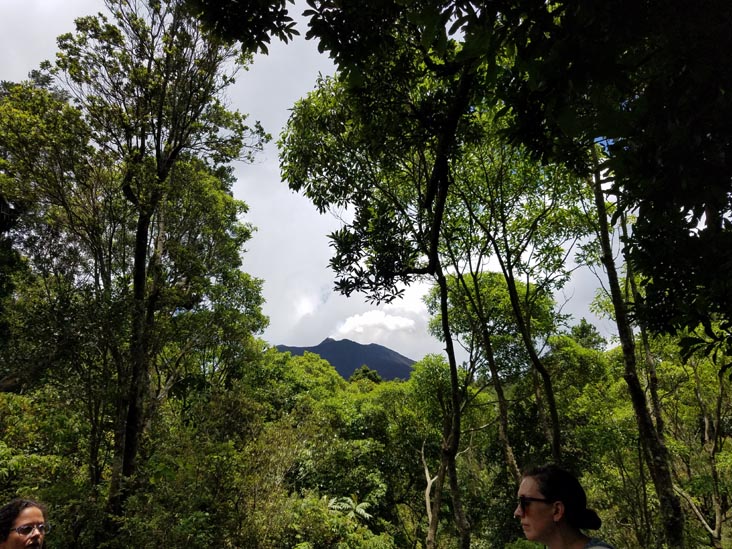 Trail, Volcán de Pacaya, Guatemala, July 31, 2019