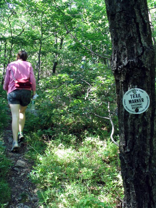 Fishkill Ridge Trail, Hudson Highlands State Park, Dutchess County, New York