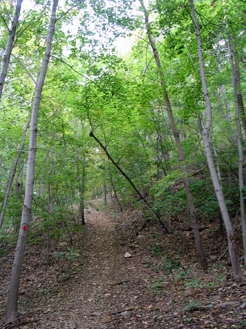 Red Trail, Fishkill Ridge, Dutchess County, New York