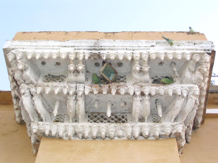 Parrots, Deogarh Mahal Palace, Deogarh, Rajasthan, India