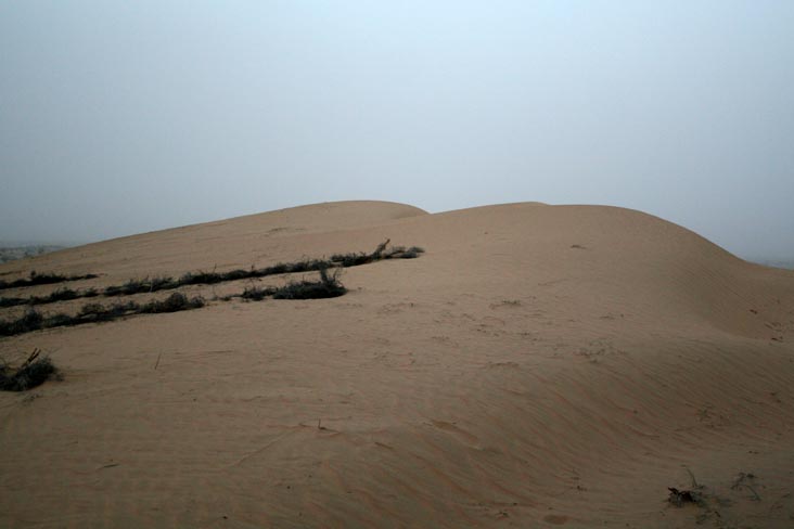 Dune, Safari, Khimsar Fort, Khimsar, Rajasthan, India