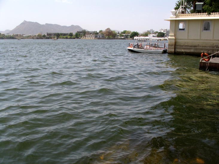 Lake Pichola From Boat Dock, Udaipur, Rajasthan, India