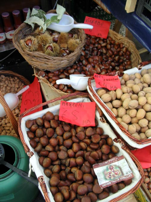 Marroni (Chestnuts), Testaccio Market, Rome, Lazio, Italy
