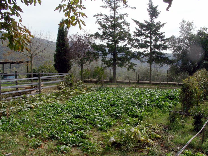 Batistini Farm (Fattoria Batistini), San Martino al Vento, Chianti, Italy