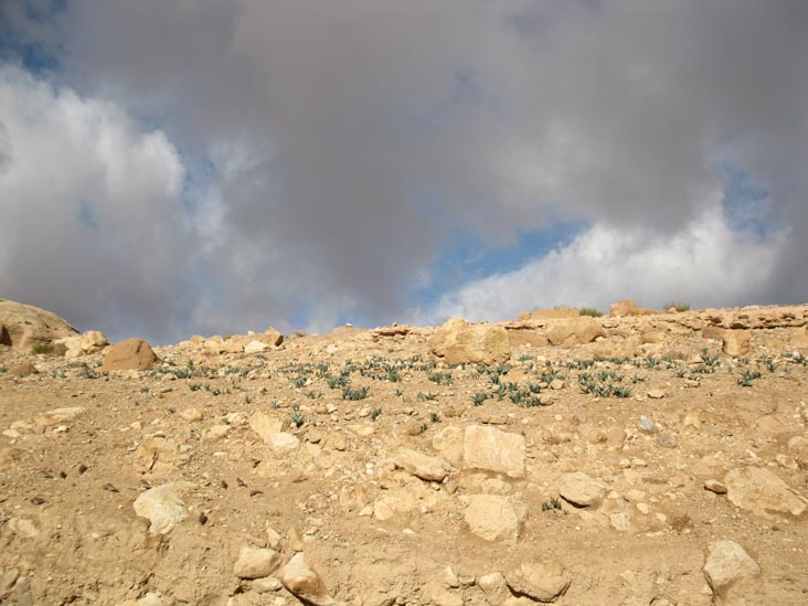 Petra, Wadi Musa, Jordan