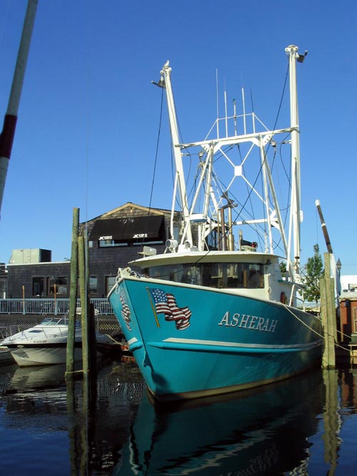 Asherah, Woodcleft Canal, Half Day Fluke Fishing, Capt Lou VII, Freeport, Long Island, New York