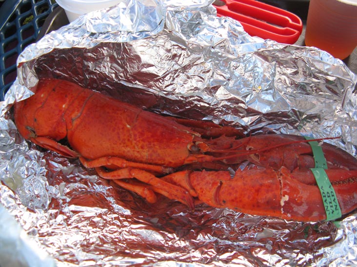 Lobster, Jordan Lobster Farms, 1 Pettit Place, Island Park, New York