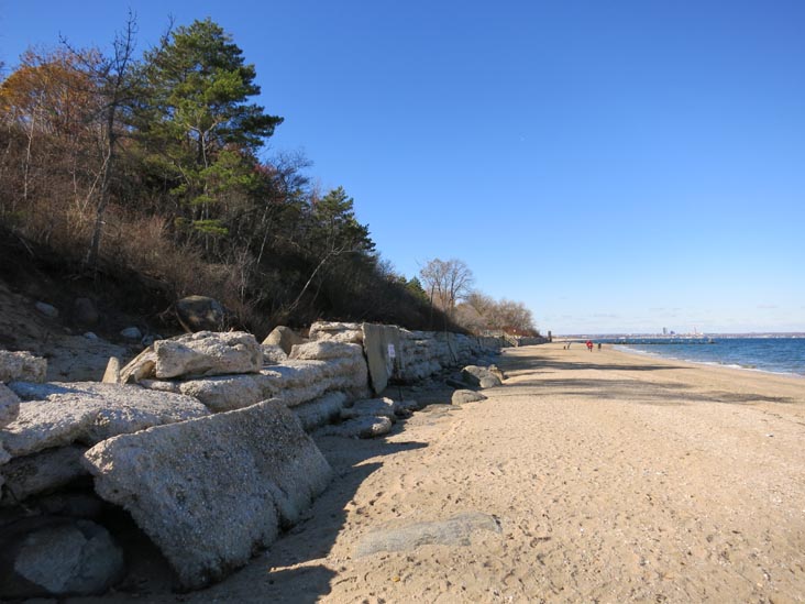 Beach, Sands Point Preserve, Sands Point, New York, November 8, 2015