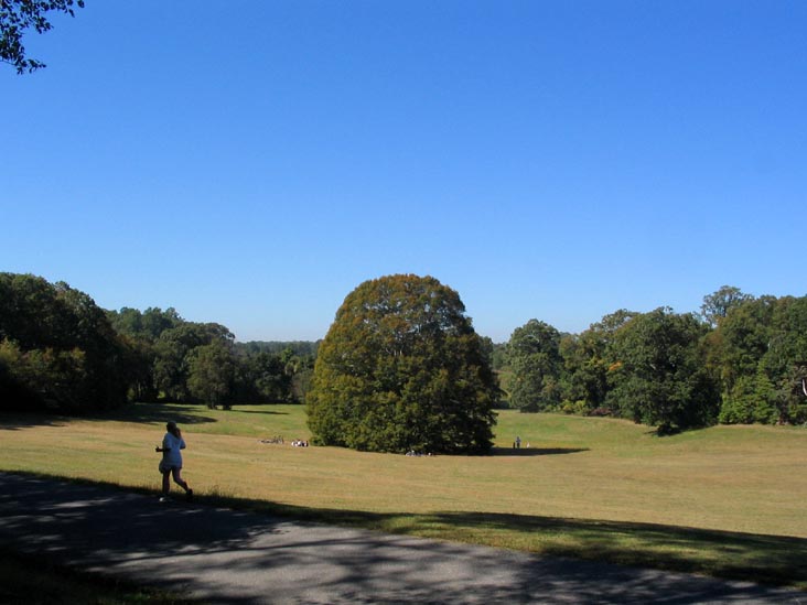 Beech Tree Field, Caumsett State Historic Park, Lloyd Neck, Long Island, New York