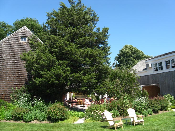 Croteaux Vineyards, 1450 South Harbor Road, Southold, New York, July 4, 2009