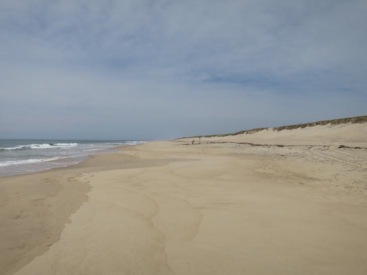 Hither Hills State Park, Montauk, New York, May 21, 2014