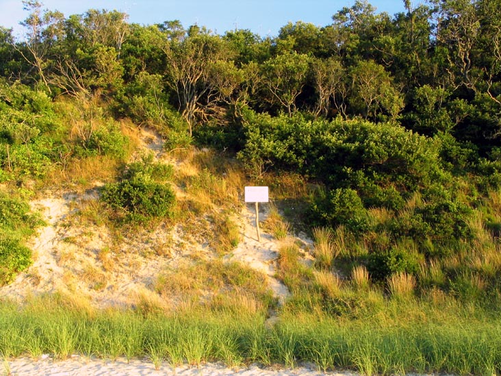 Bluff Slope, Beach, Wildwood State Park, Wading River, Long Island, New York