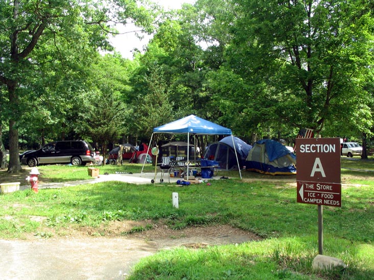 Section A, Campground, Wildwood State Park, Wading River, Long Island, New York