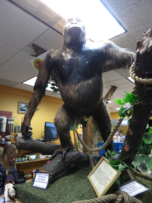 Perry's Nut House, 45 Searsport Avenue, Belfast, Maine