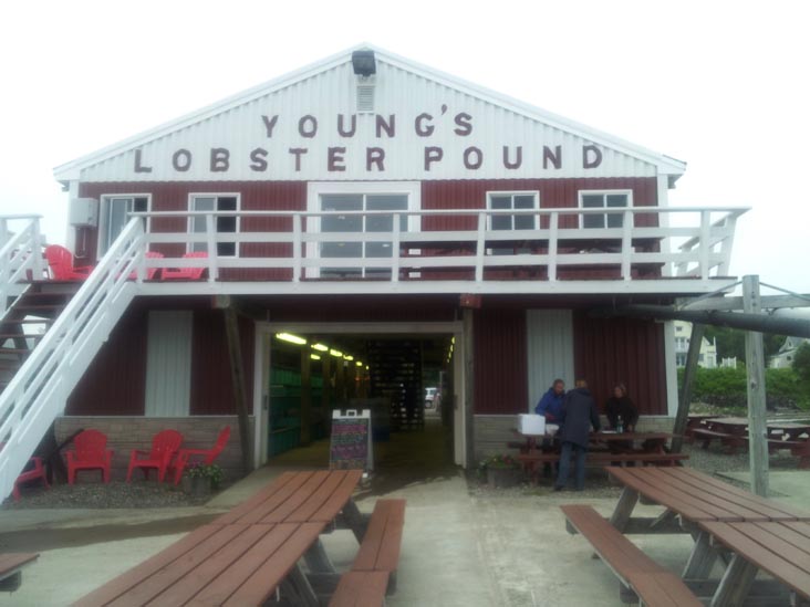 Young's Lobster Pound, 4 Mitchell Street, Belfast, Maine, July 1, 2013