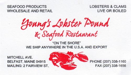 Business Card, Young's Lobster Pound, 4 Mitchell Street, Belfast, Maine