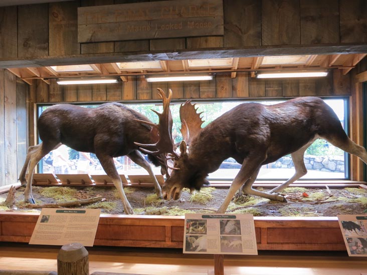 The Final Charge, L.L. Bean Flagship Store, 95 Main Street, Freeport, Maine, July 6, 2013