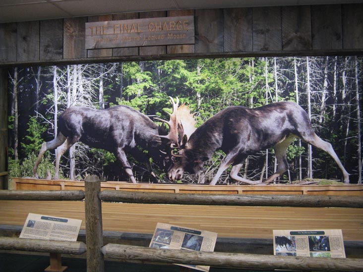 The Final Charge, L.L. Bean Flagship Store, 95 Main Street, Freeport, Maine