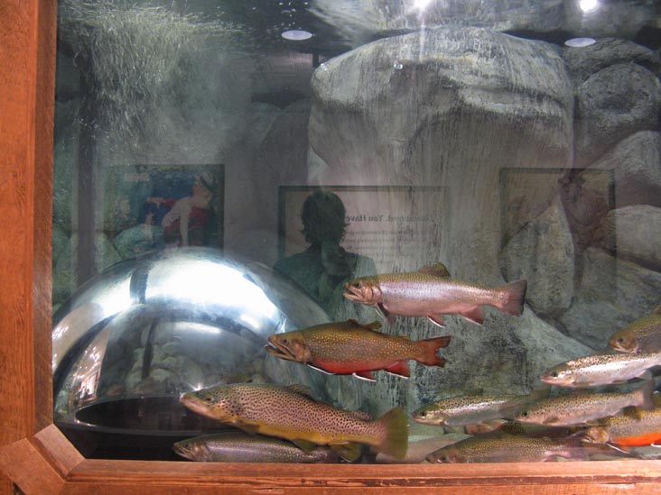Fish Tank, L.L. Bean Flagship Store, 95 Main Street, Freeport, Maine