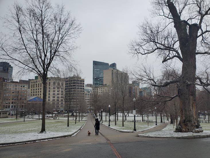 Boston Common, Freedom Trail, Boston, Massachusetts, January 15, 2023