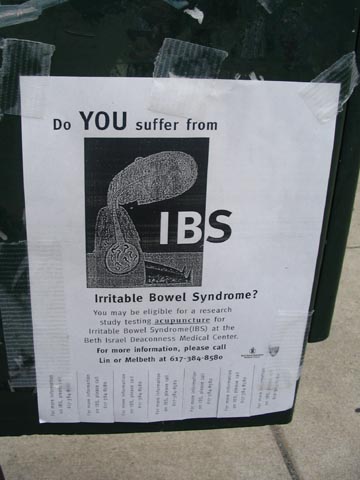 Irritable Bowel Syndrome Flier, Cambridge, Massachusetts