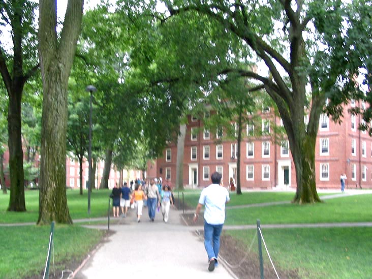 Havard Yard, Harvard University, Cambridge, Massachusetts