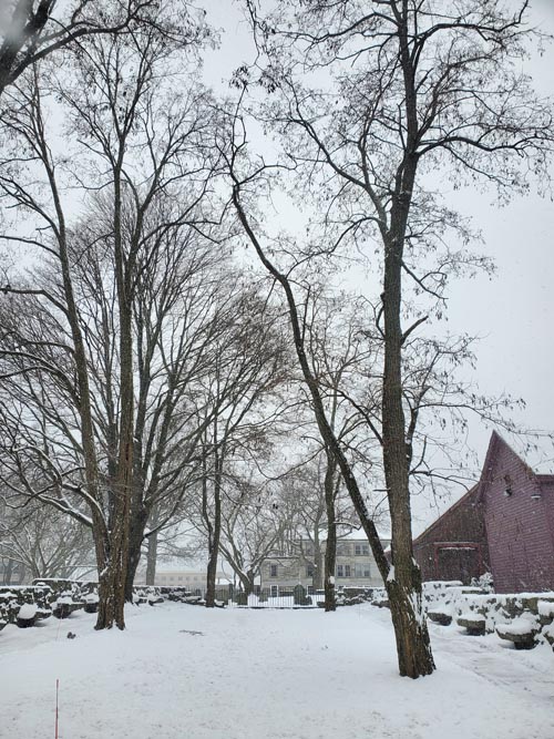Salem Witch Trials Memorial, Salem, Massachusetts, January 16, 2023
