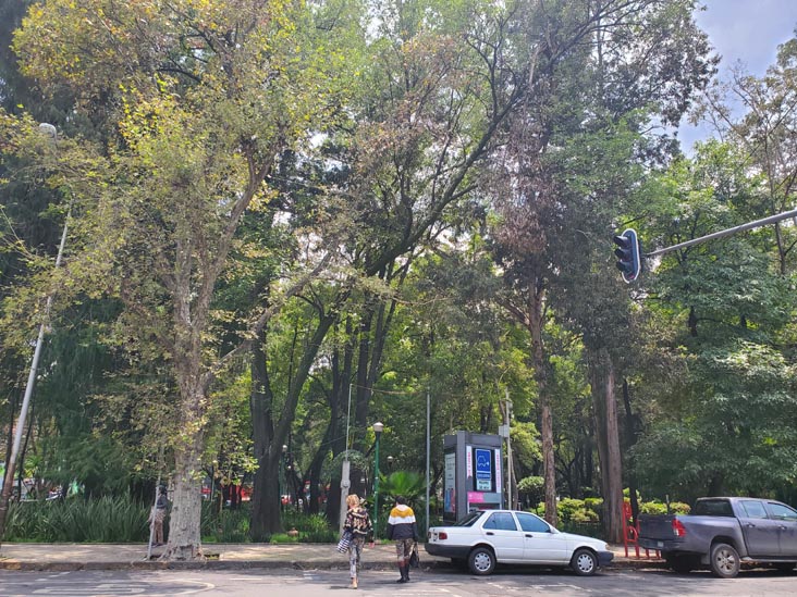Parque España, Condesa, Mexico City/Ciudad de México, Mexico, August 10, 2021