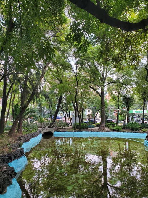 Parque España, Condesa, Mexico City/Ciudad de México, Mexico, August 10, 2021