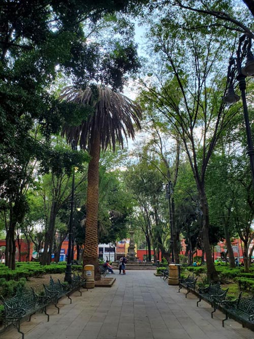 Jardín Centenario, Coyoacán, Mexico City/Ciudad de México, Mexico, August 19, 2021