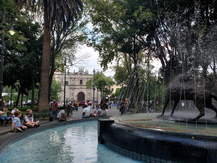 Fuente de los Coyotes, Jardín Centenario, Coyoacán, Mexico City/Ciudad de México, Mexico, August 19, 2021