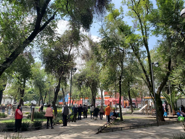 Parque Lázaro Cardenas, Colonia Doctores, Mexico City/Ciudad de México, Mexico, August 9, 2021