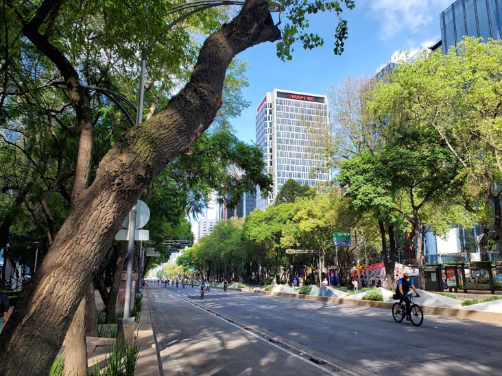 Paseo de la Reforma, Mexico City/Ciudad de México, Mexico, August 15, 2021