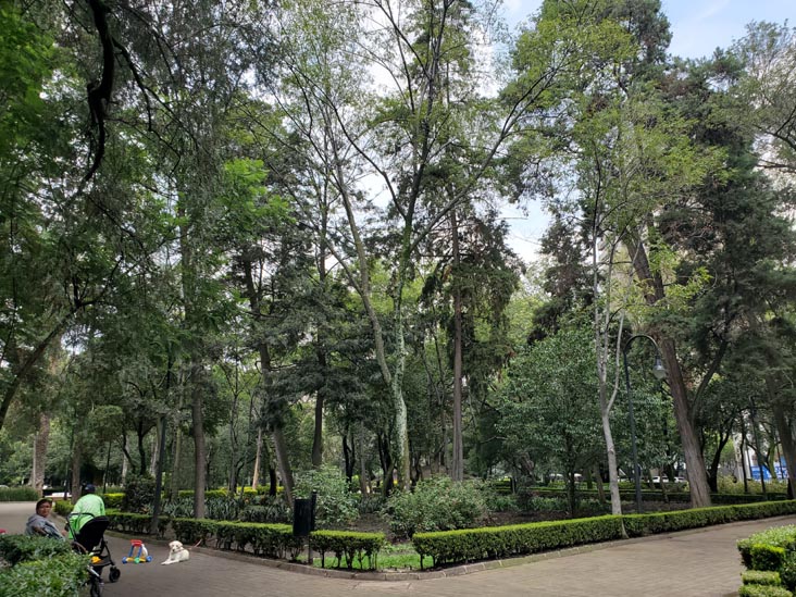 Parque Lincoln, Polanco, Mexico City/Ciudad de México, Mexico, August 5, 2021