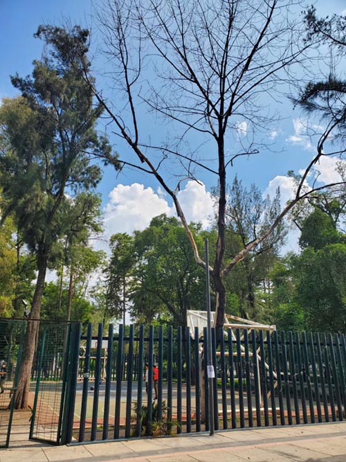 Jardín Pushkin, Colonia Roma, Mexico City/Ciudad de México, Mexico, August 9, 2021