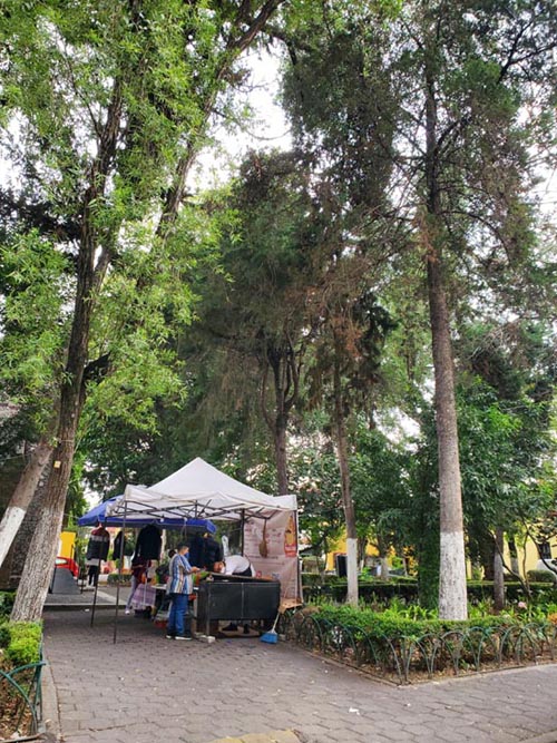 Plaza de Romita, Colonia Roma, Mexico City/Ciudad de México, Mexico, August 26, 2021