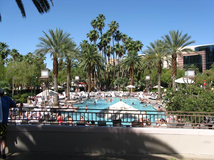Pool, MGM Grand, 3799 Las Vegas Boulevard South, Las Vegas, Nevada