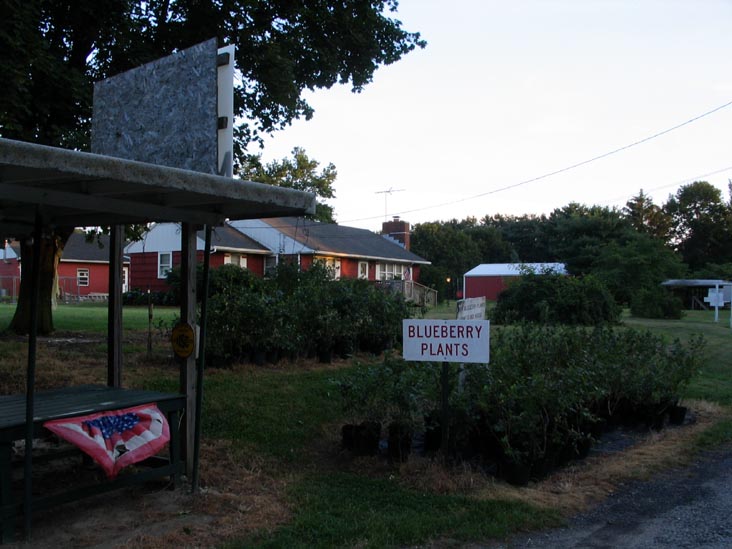 Route 206 Farm Market & Nursery, 196 Route 206, Hammonton, New Jersey