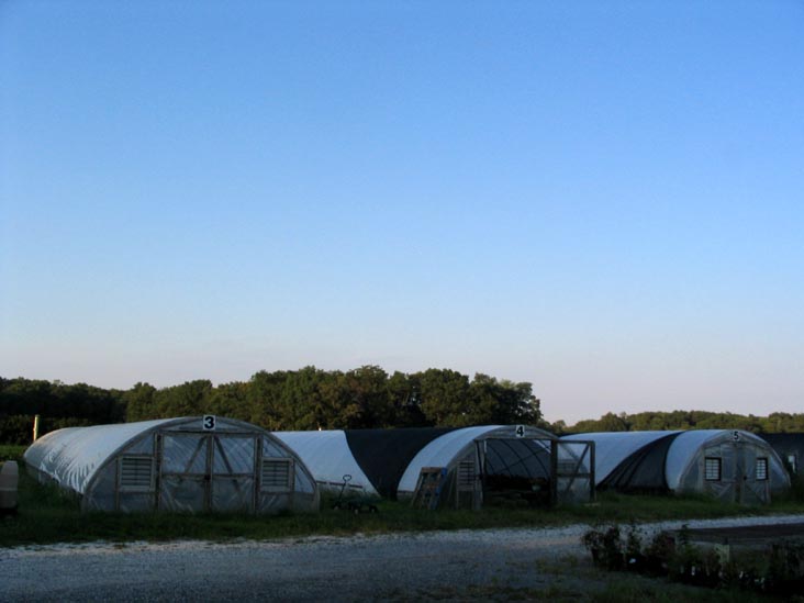 Greenhouses, Levari's Farm Market, 1165 Harding Highway, Buena, New Jersey
