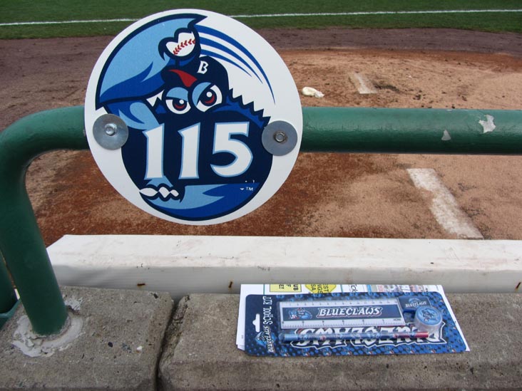 Section 115, Row 1, Lakewood BlueClaws vs. Asheville Tourists, FirstEnergy Park, Lakewood, New Jersey, August 3, 2014