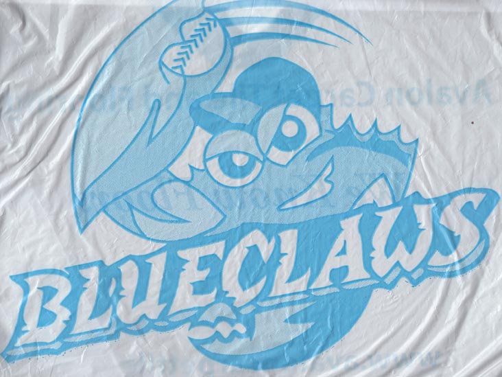 BlueClaws Bag