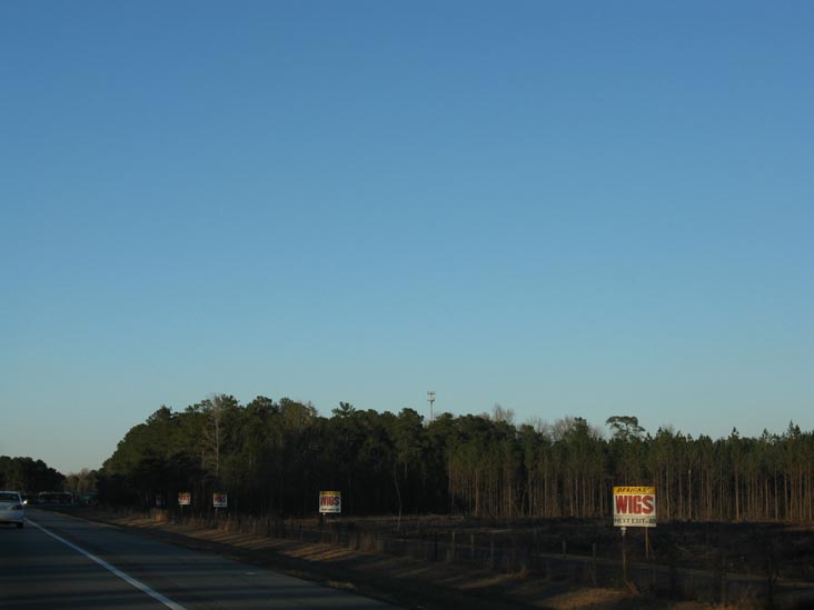 Fayetteville Wig Outlet Advertisements, Interstate 95 Near Exit 40, Cumberland County, North Carolina, January 2, 2010