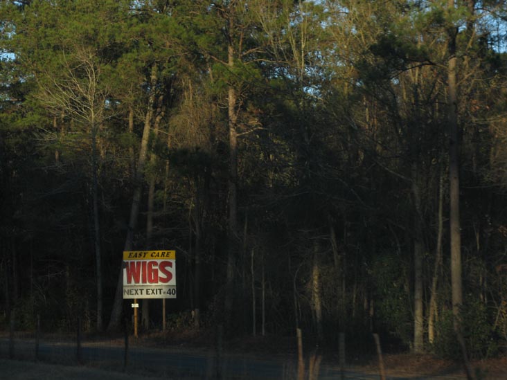 Fayetteville Wig Outlet Advertisement, Interstate 95 Near Exit 40, Cumberland County, North Carolina, January 2, 2010