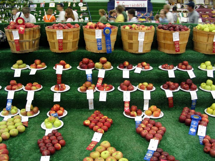 Apples, Agriculture Hall, Bloomsburg Fair, Bloomsburg, Pennsylvania, September 23, 2006