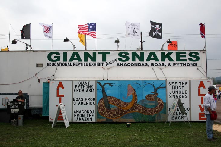 The Living Treasures: Giant Rat, Giant Alligator, Giant Snakes, Smallest Horse, Bloomsburg Fair, Bloomsburg, Pennsylvania, September 23, 2006