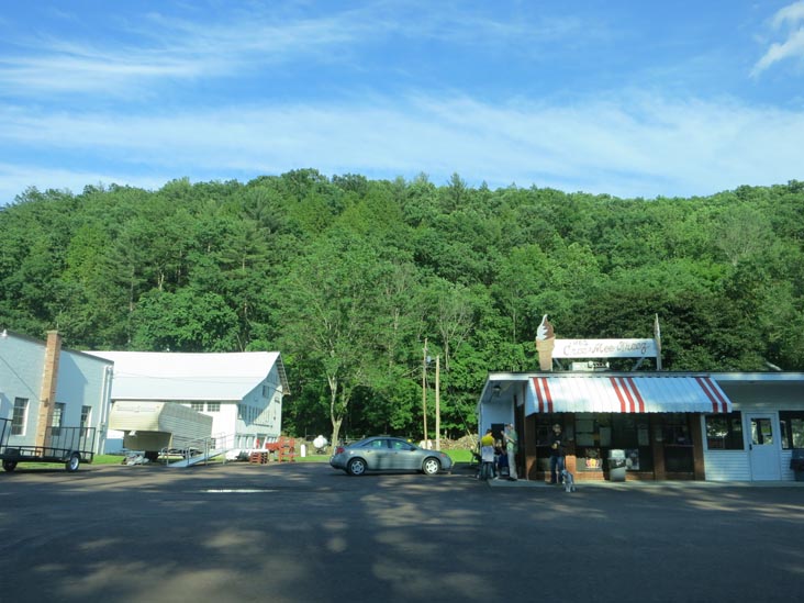 Cree-Mee Freeze, 963 Southern Drive, Catawissa, Pennsylvania, June 2, 2012