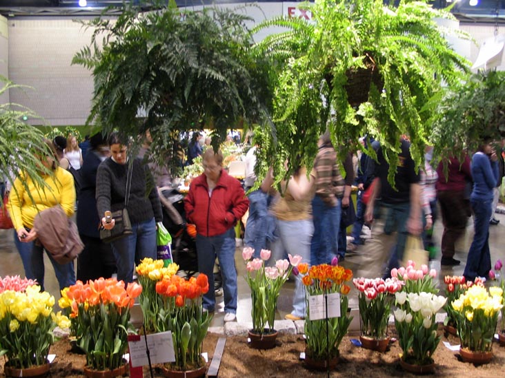 Philadelphia Flower Show, Pennsylvania Convention Center, Philadelphia, Pennsylvania, March 10, 2007