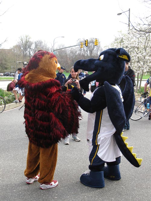 Saint Joseph's University Hawk Mascot and Drexel Dragon Mascot, City 6 5K Charity Run Registration, Lloyd Hall, Fairmount Park, Philadelphia, Pennsylvania, April 3, 2010