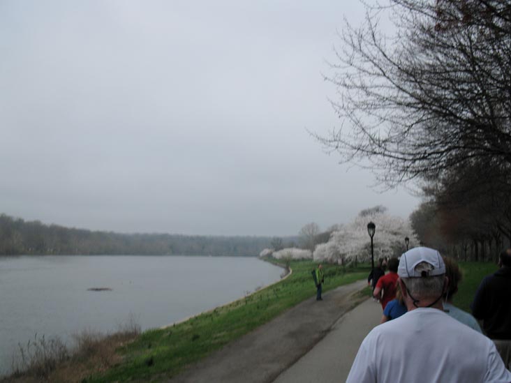 Schuylkill River, City 6 5K Charity Run, Kelly Drive, Fairmount Park, Philadelphia, Pennsylvania, April 3, 2010